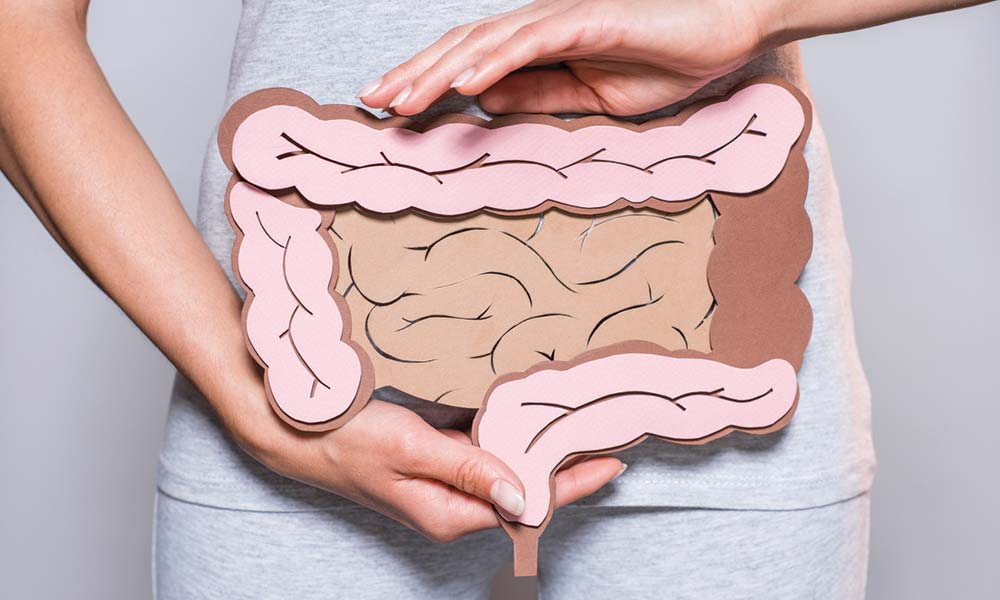 How your digestive system works